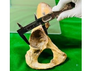 Article Thumbnail